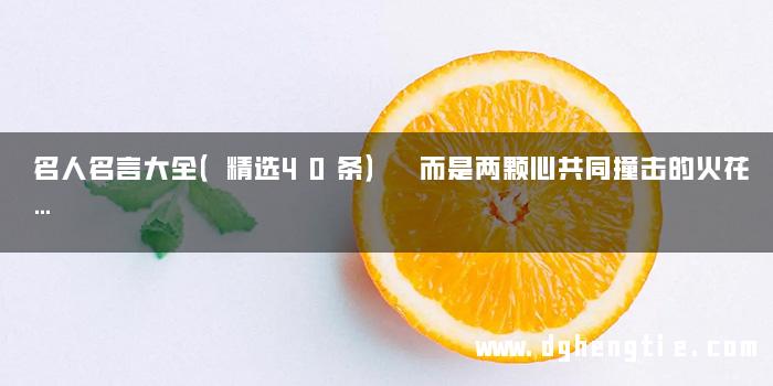 名人名言大全（精选40条） 而是两颗心共同撞击的火花…